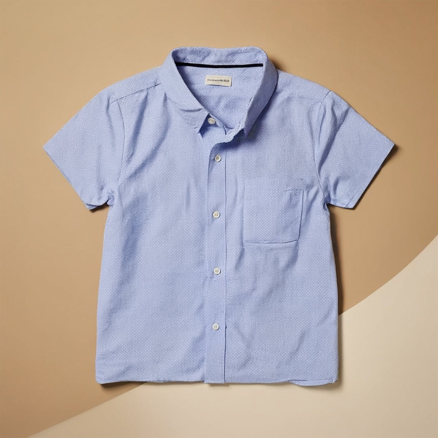 Boys White & Light Blue Short Sleeves Regular Fit  Smart Casual Shirt